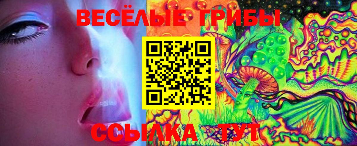 Псилоцибиновые грибы Psilocybe  Вход с VPN  Красный Сулин  Псилоцибиновые грибы прущие грибы 